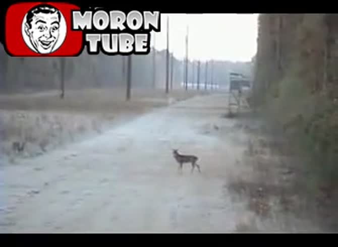 Video :A hunter who is nearsighted attempts to shoot a deer